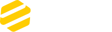 Endo Logo Image